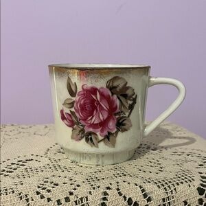 Floral Rose Accent Ceramic Teacup in Pink and White - Westwood fine China